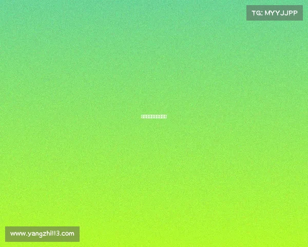 体育赛事举重比赛规则