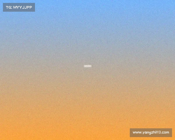 赛事和比赛 赛事和比赛